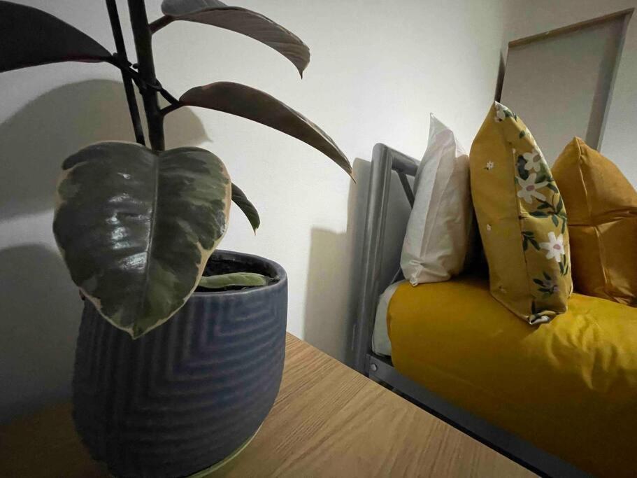 Victoria Mews Hoxton Shoreditch London Luaran gambar